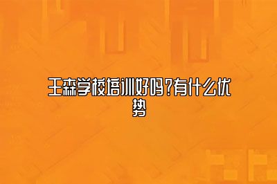 王森学校培训好吗？有什么优势
