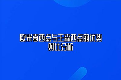 欧米奇西点与王森西点的优势对比分析