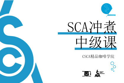 北京CSCA精品咖啡SCA冲煮培训中级班