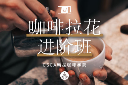 北京CSCA精品咖啡拉花培训进阶班