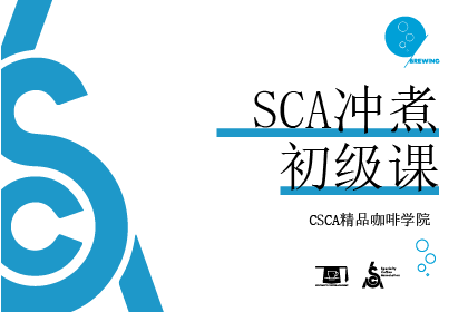 北京CSCA精品咖啡SCA冲煮培训初级班