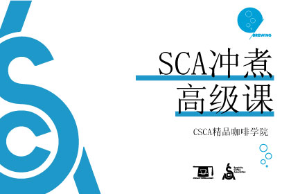 北京CSCA精品咖啡SCA冲煮培训高级班