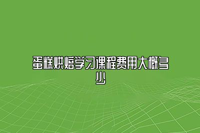 蛋糕烘焙学习课程费用大概多少