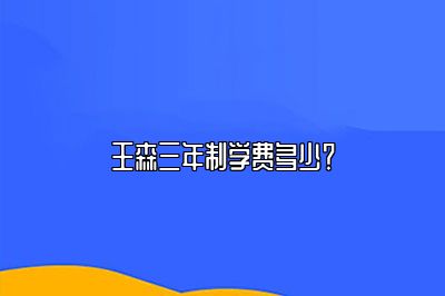 王森三年制学费多少？