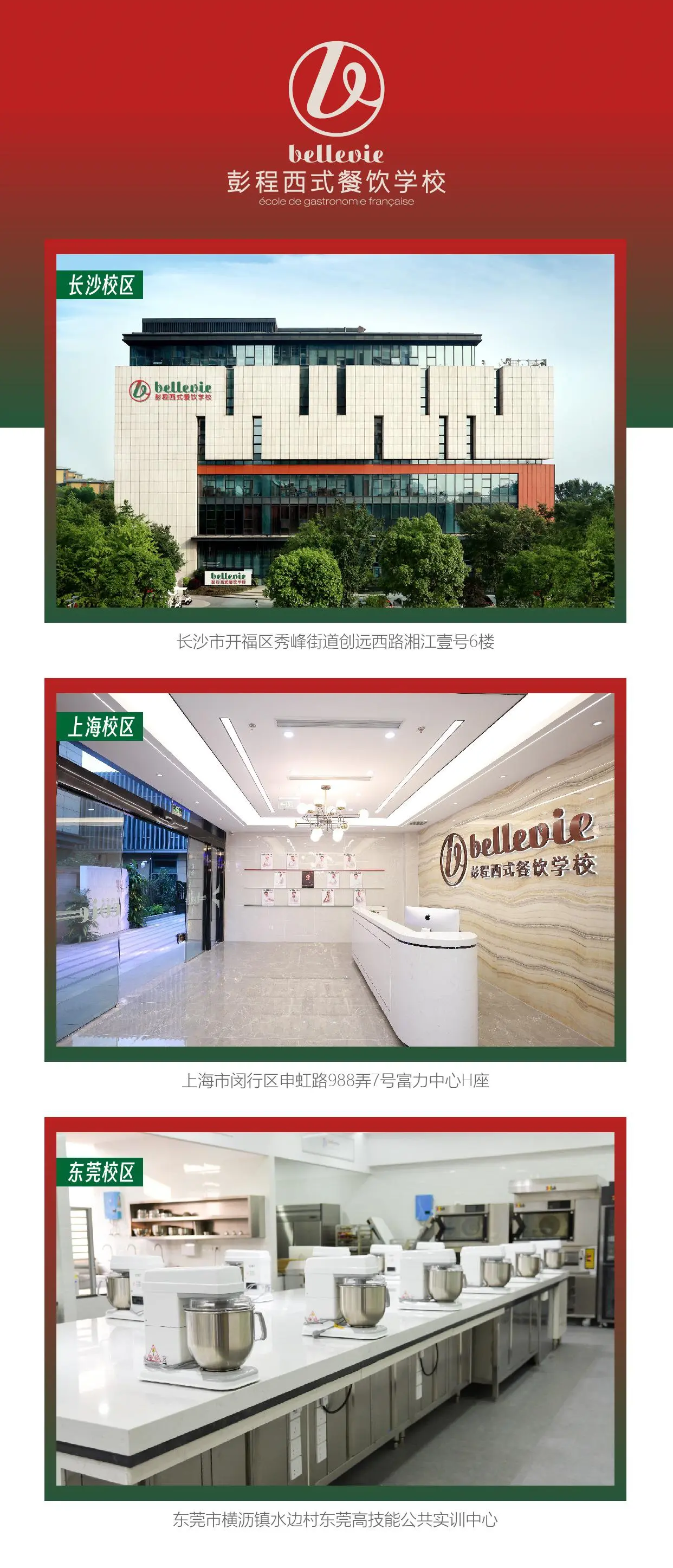 795594111481544704 795594111481544704